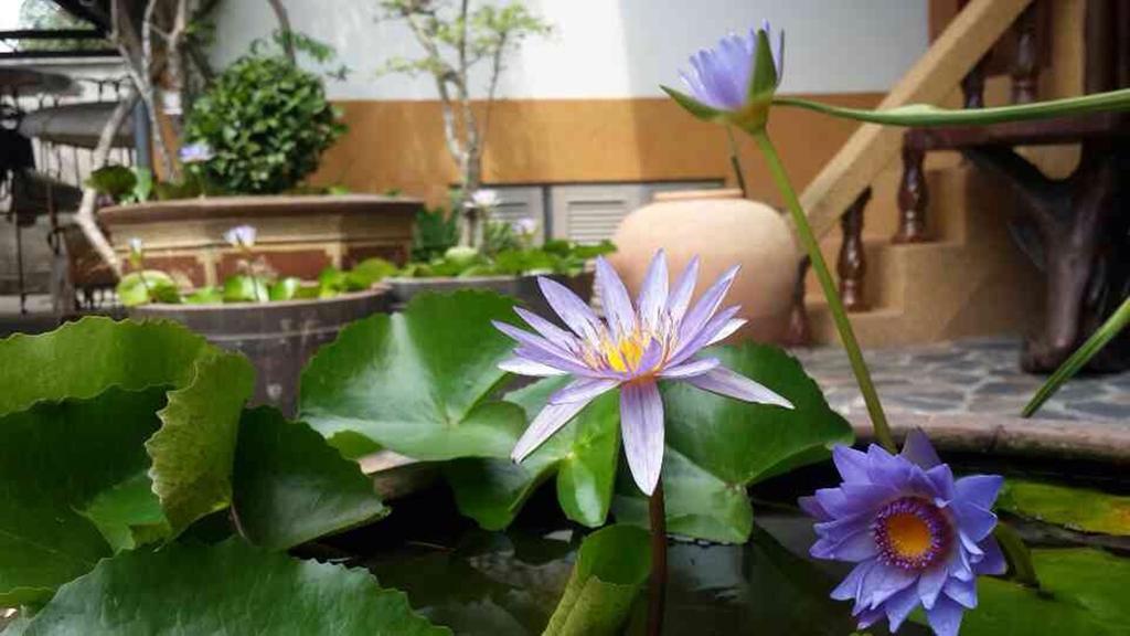 Baan Sala Lung Dam Hotel Bophut Luaran gambar